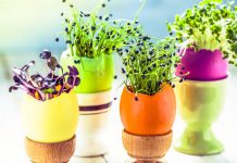 Pet trikova za upotrebu ljuske jajeta kojih se nikada ne biste dosjetili