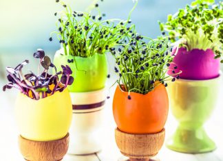 Pet trikova za upotrebu ljuske jajeta kojih se nikada ne biste dosjetili