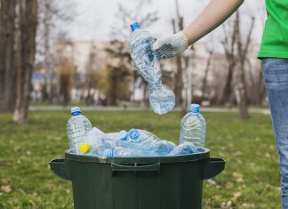 Znanstvenici plastične boce pretvorili u aromu vanilije koristeći genetski modificirane bakterije